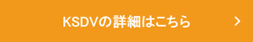 KSDV_ボタン